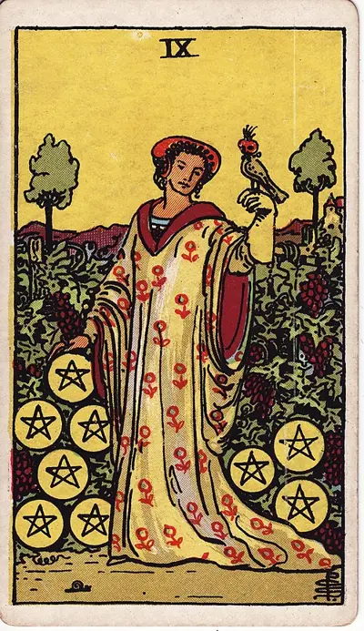 Nine of Pentacles tarot card